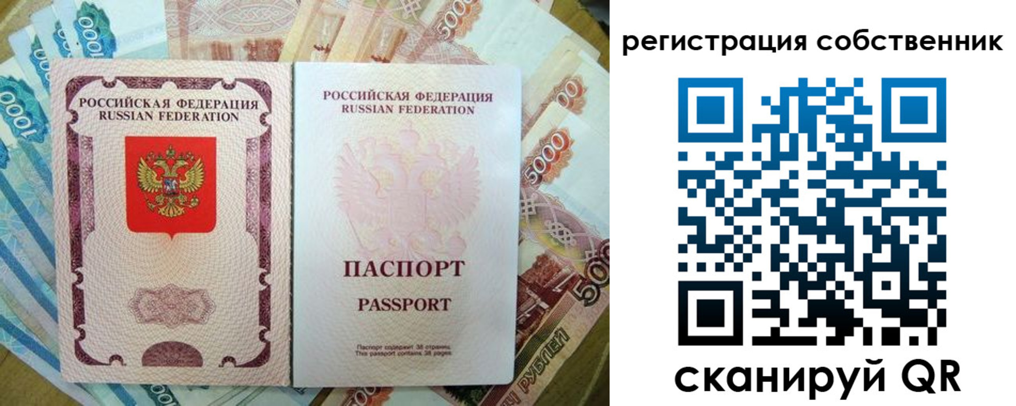 прописка гарантия в Козельске
